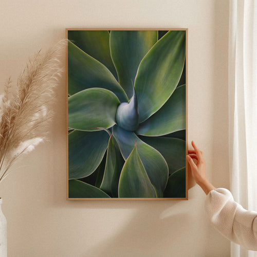 A little bit like a pinwheel | Robin Wechsler
