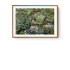 A Mata Atlântica