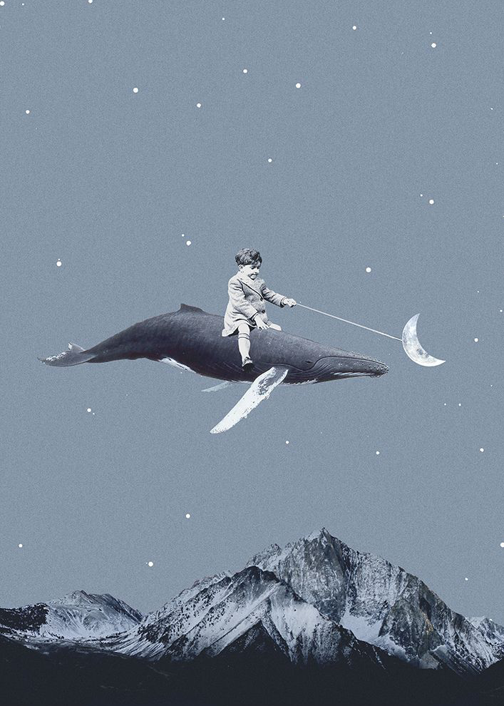 Aim for the moon | Maarten Léon