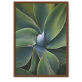 A little bit like a pinwheel | Robin Wechsler