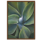 A little bit like a pinwheel | Robin Wechsler