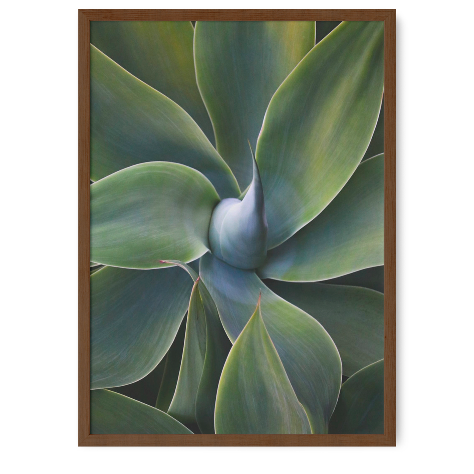 A little bit like a pinwheel | Robin Wechsler