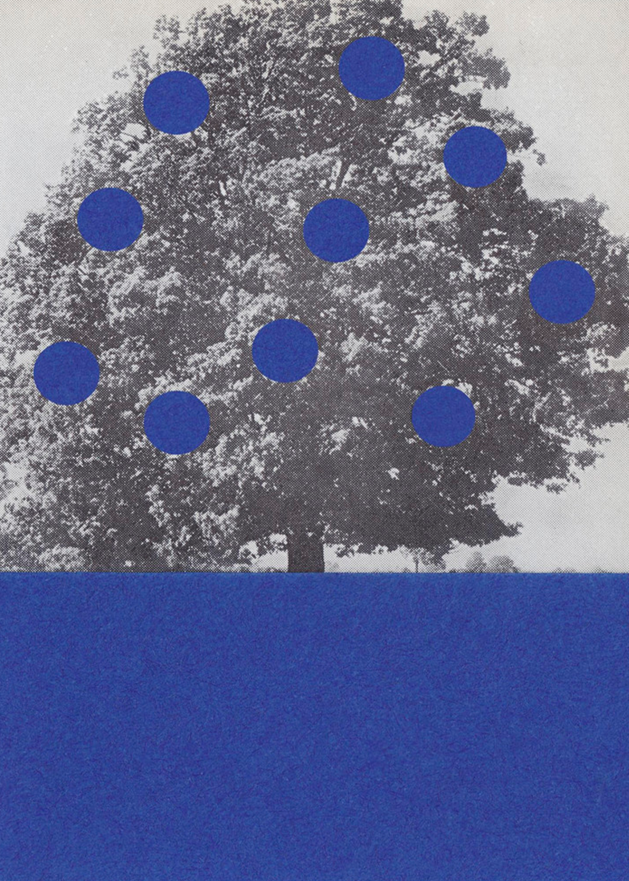 Blue Fruits | Alisa Galitsyna