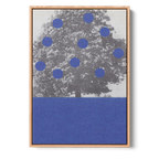 Blue Fruits | Alisa Galitsyna