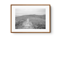 Cabo de Hornos