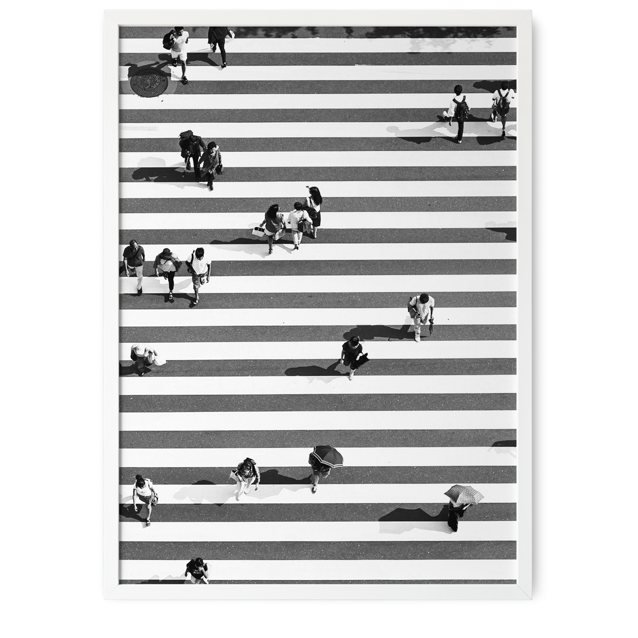 Shibuya | Paralelo