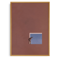 Curiosity | Maarten Léon