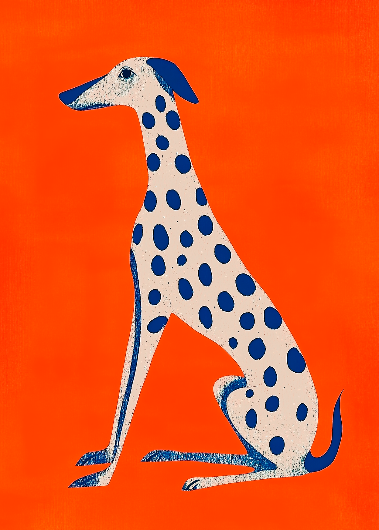 Dálmata Azul