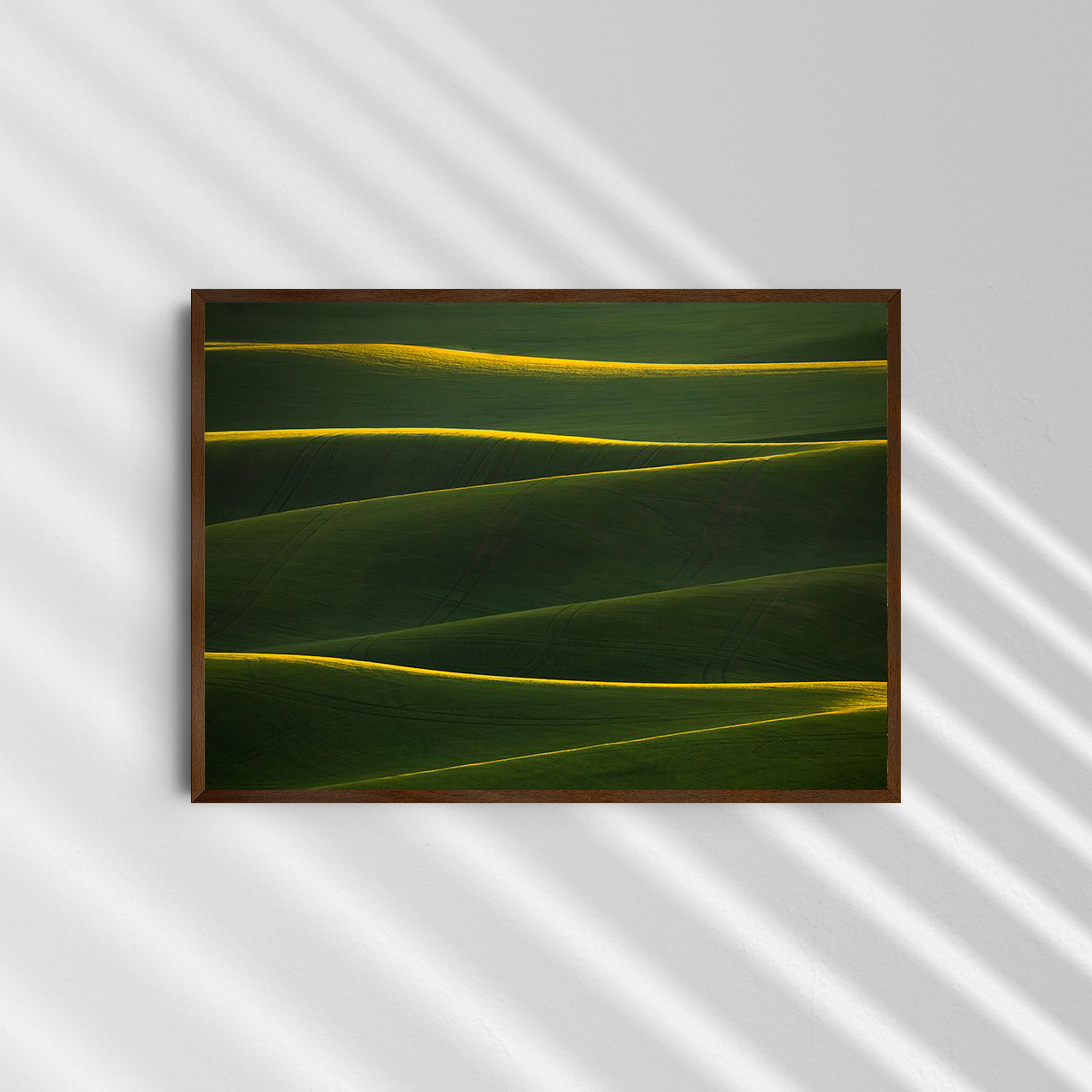 Golden Rolling Hills | Fion Wong
