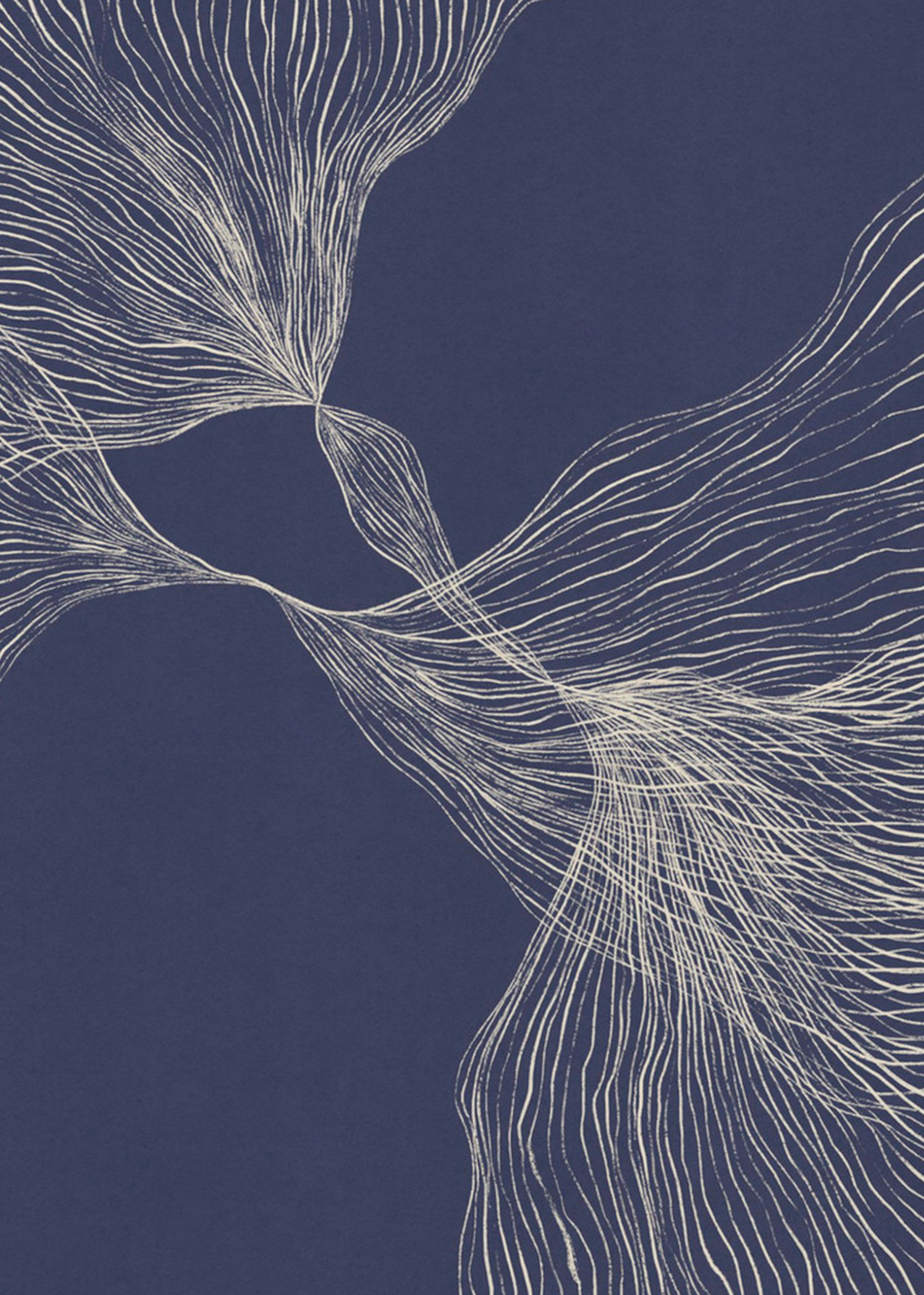 Interaction #1  | Alisa Galitsyna