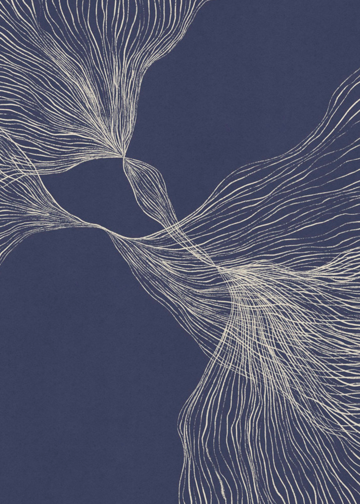 Interaction #1  | Alisa Galitsyna