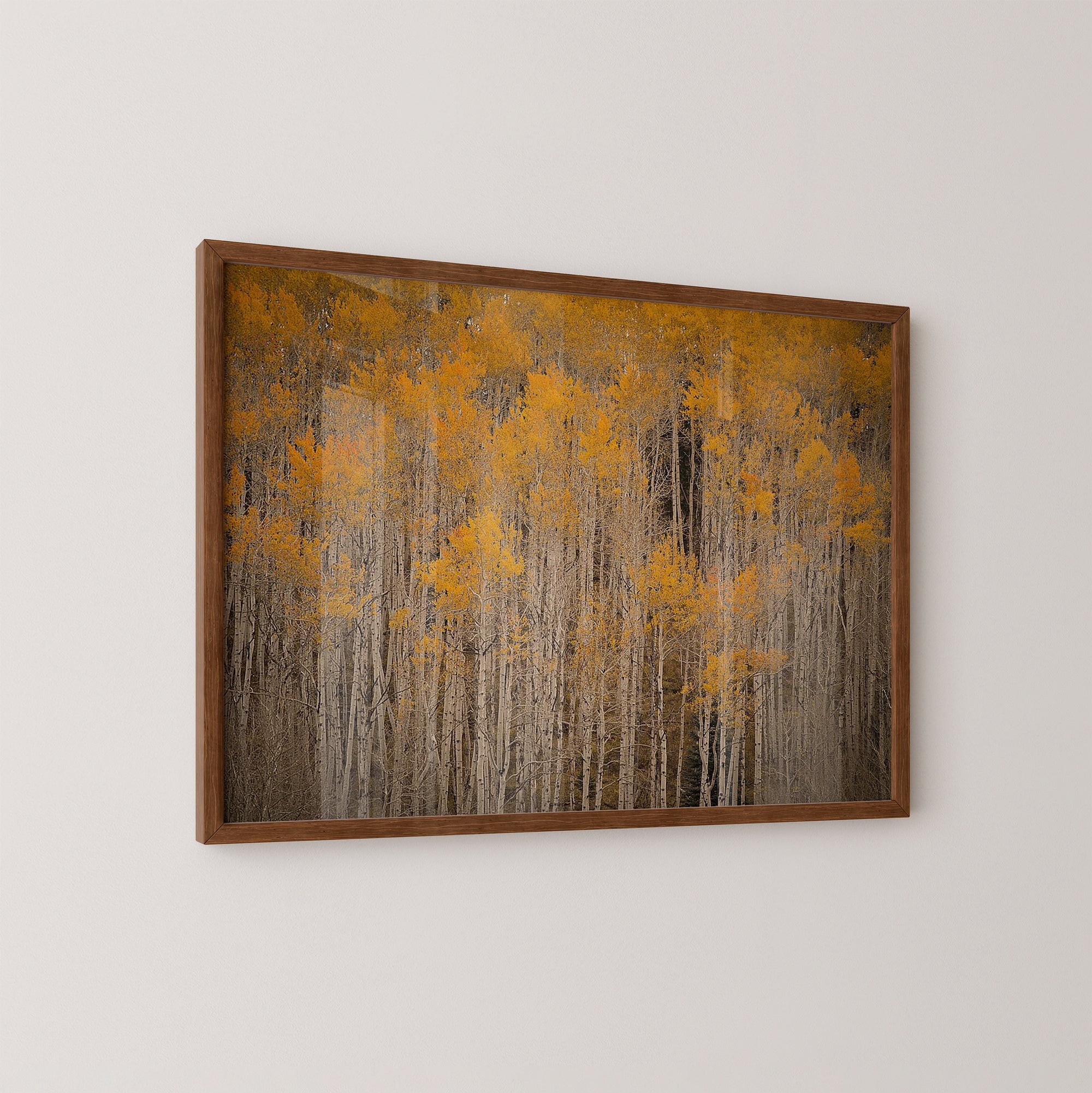 Intimate Aspen | JC Leacock