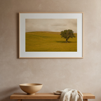 Field in Lower Tuscany