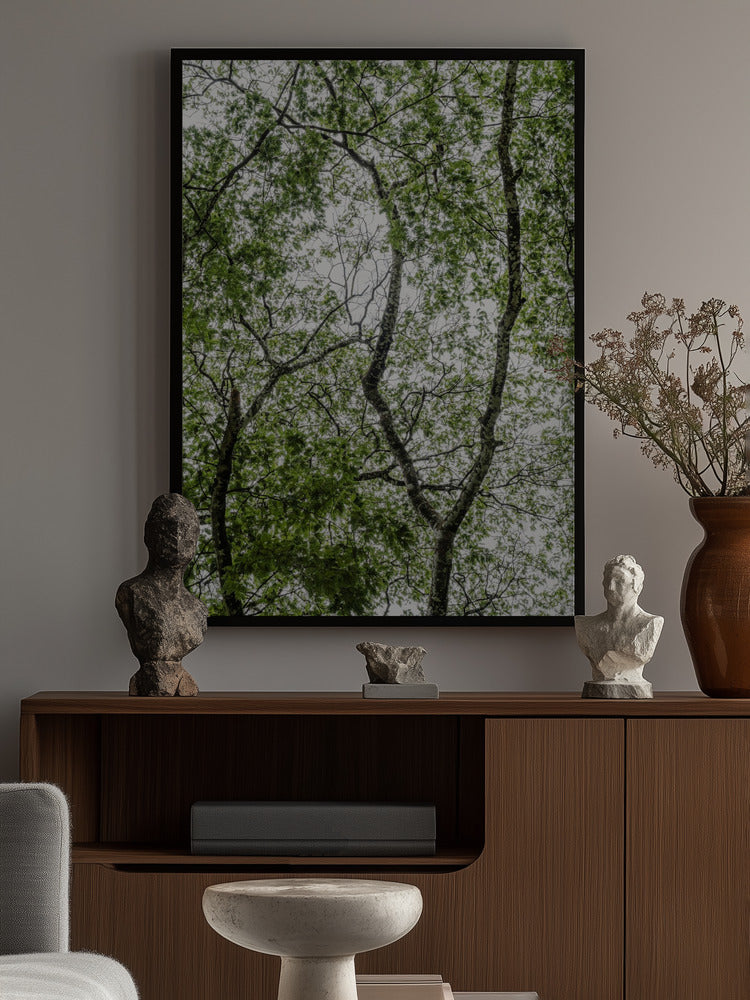Leafy Serenity