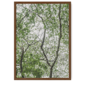 Leafy Serenity
