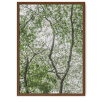Leafy Serenity