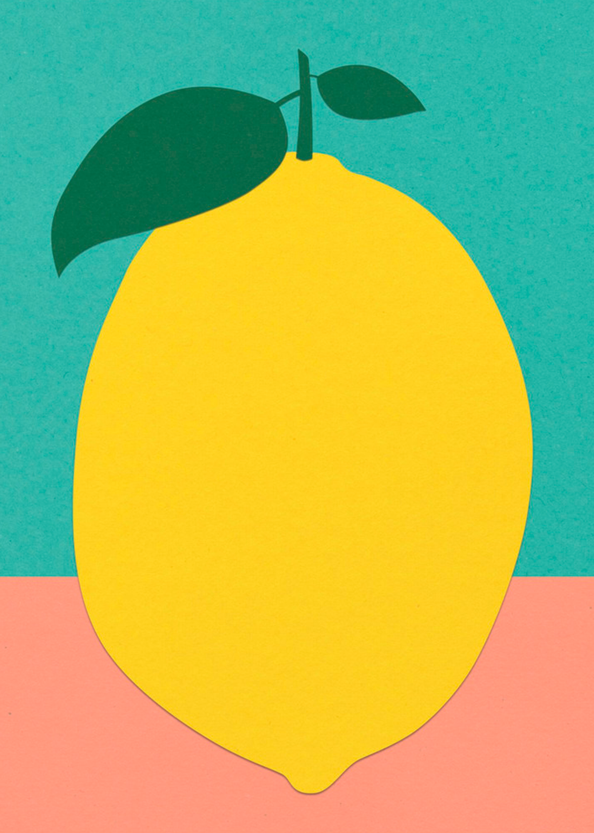 Lemon With Two Leaves | Rosi Feist