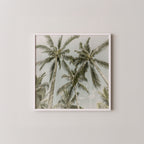 Lovely Vintage Palm Trees | Melanie Viola