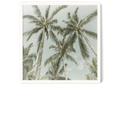Lovely Vintage Palm Trees | Melanie Viola