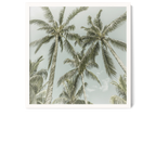 Lovely Vintage Palm Trees | Melanie Viola