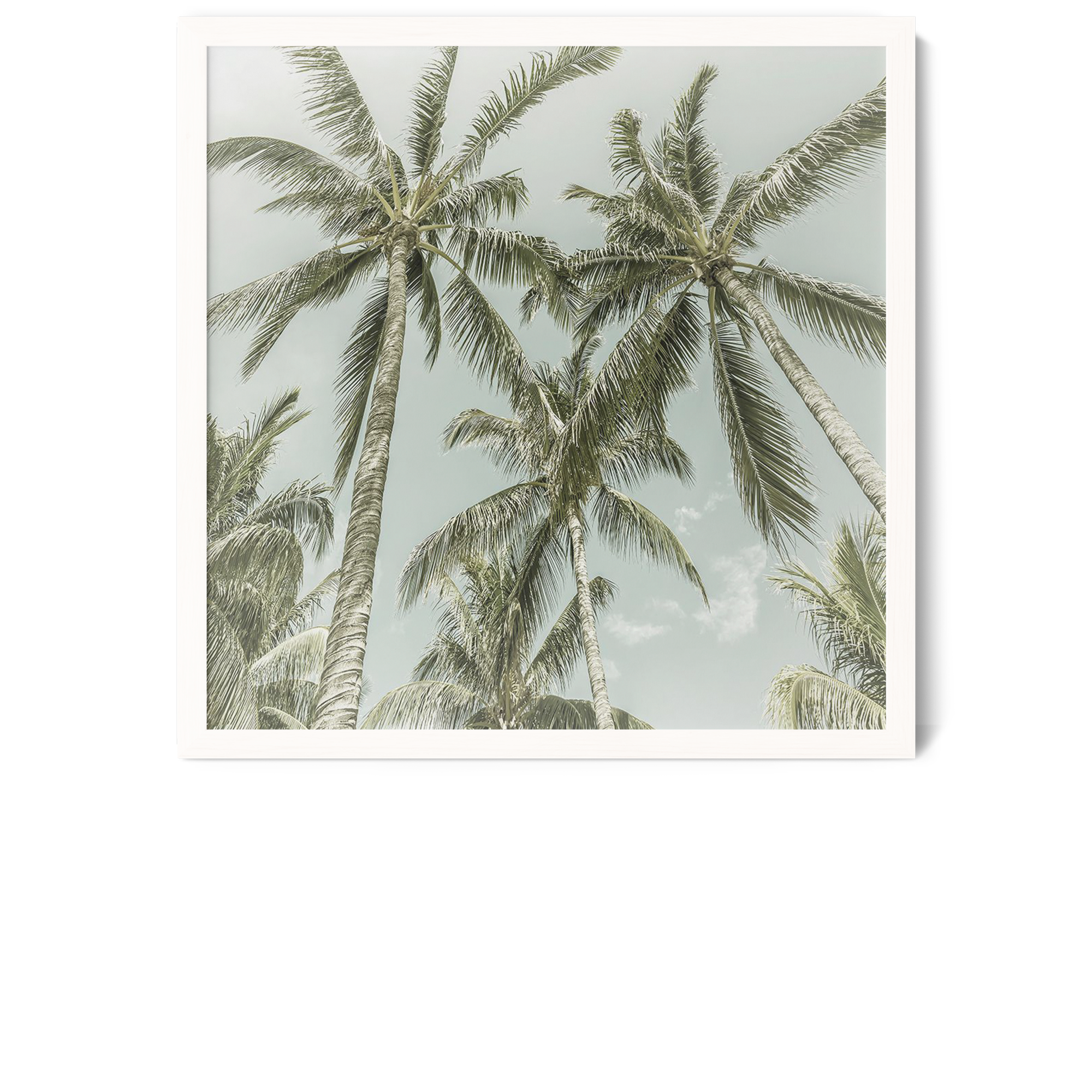 Lovely Vintage Palm Trees | Melanie Viola