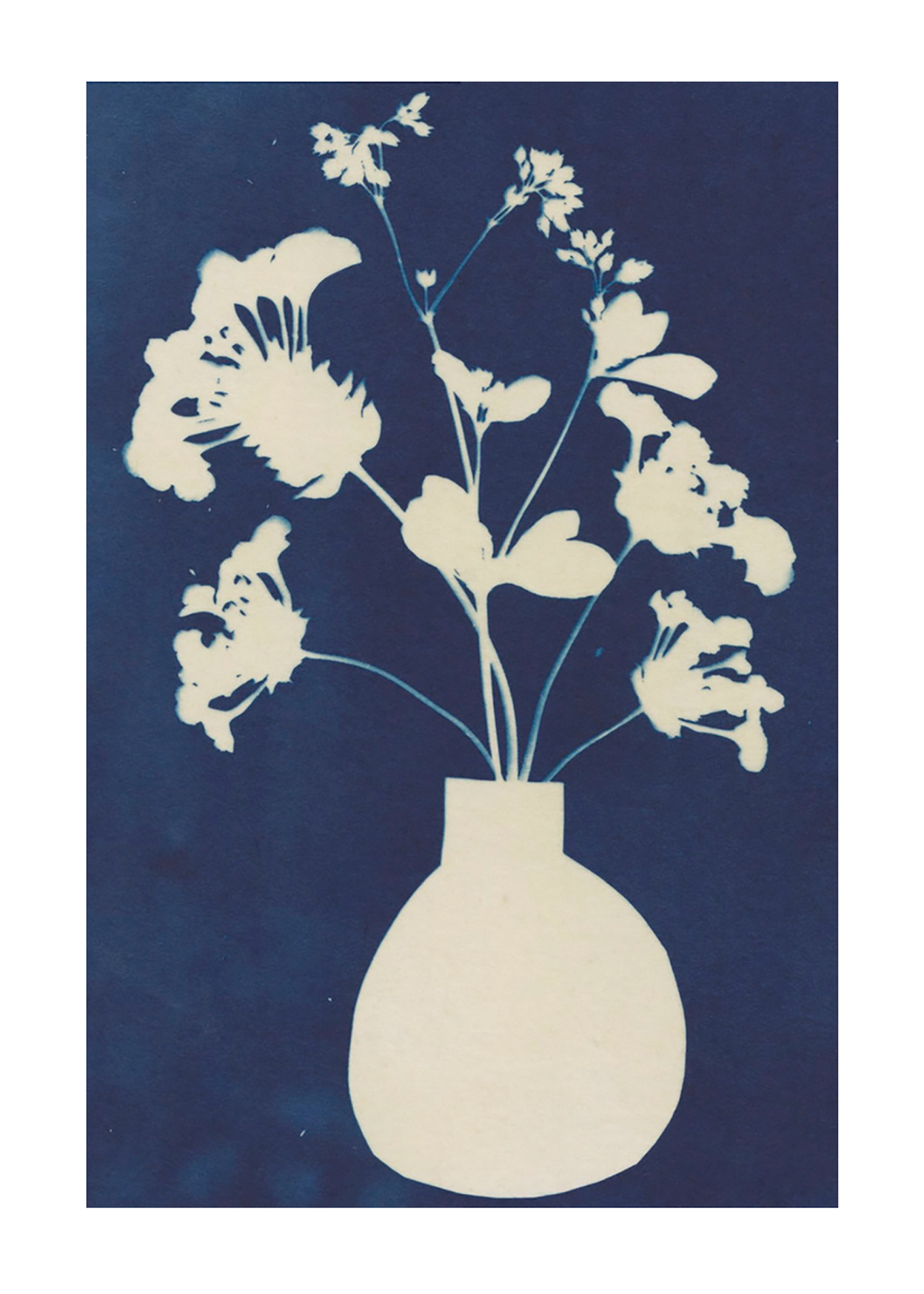 Magic In the Ordinary #12 | Alisa Galitsyna