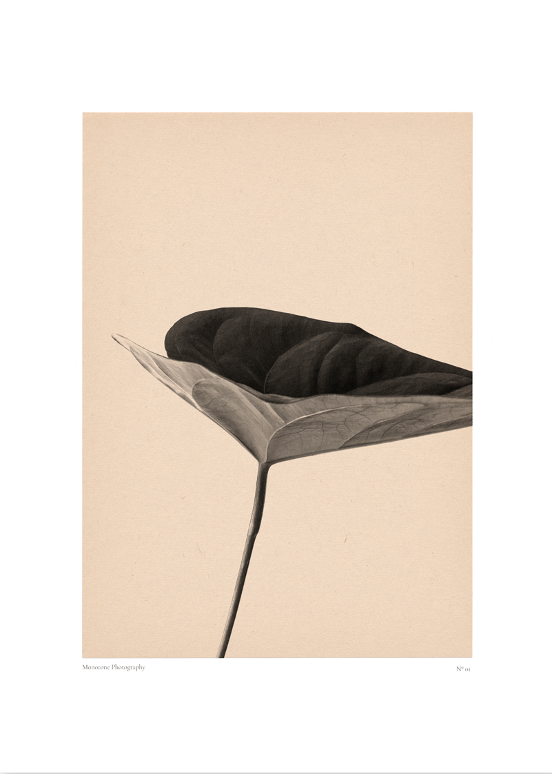 Minimal Botanical | N. 01