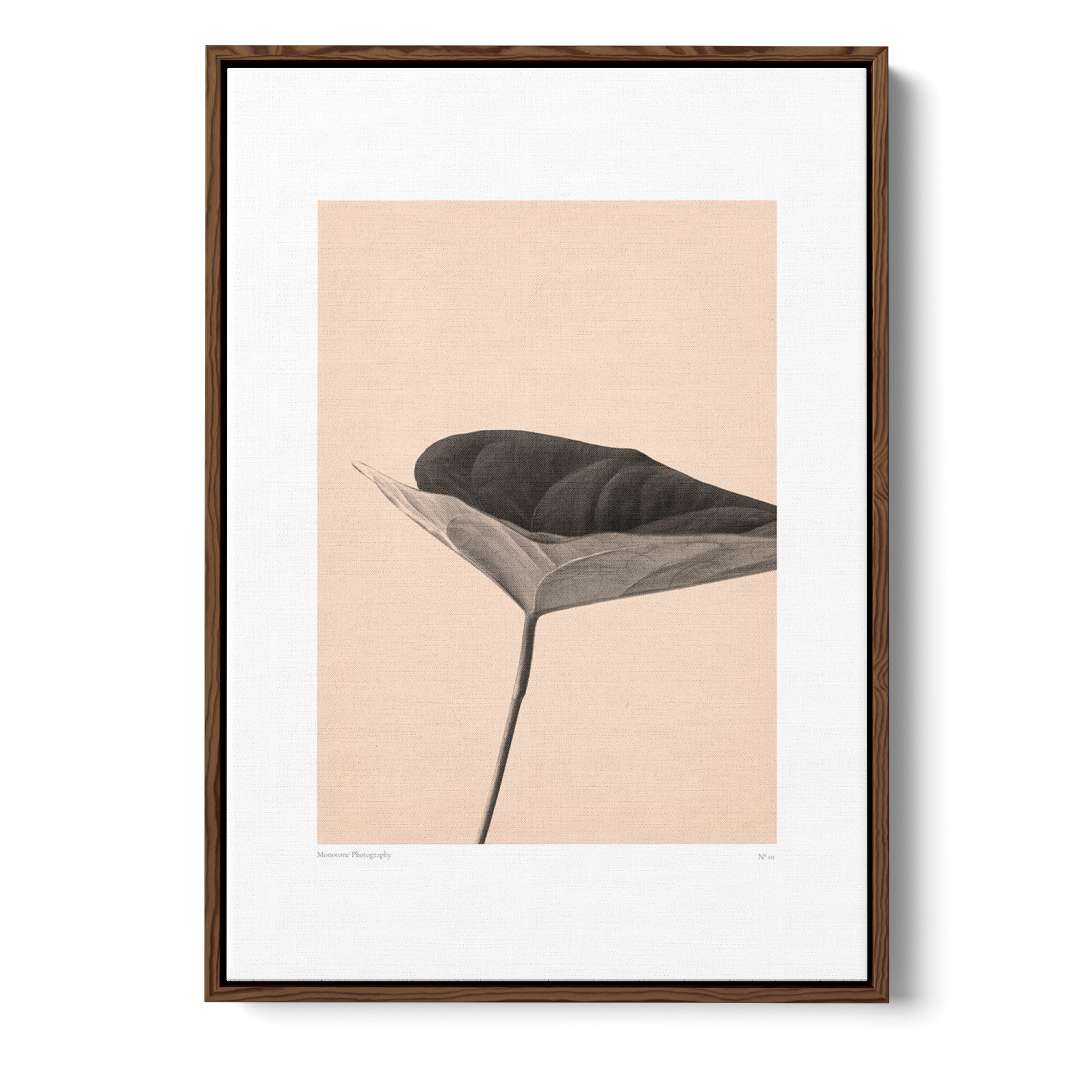 Minimal Botanical | N. 01