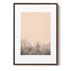 Minimal Botanical | N. 02