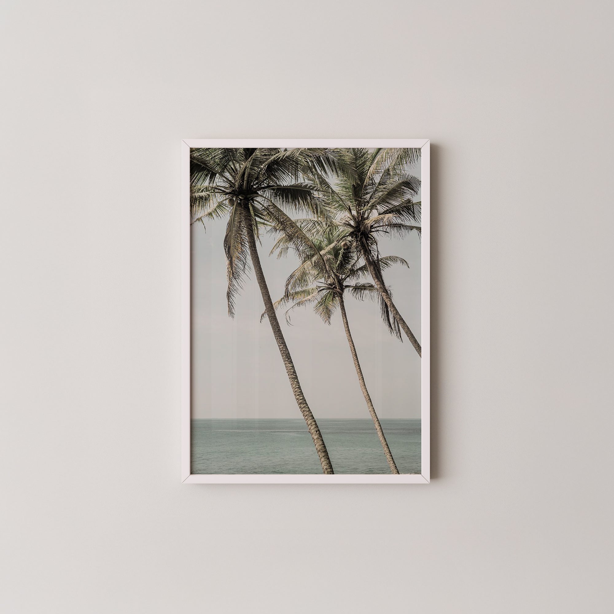 Ocean Breeze Palms | Shot by Clint