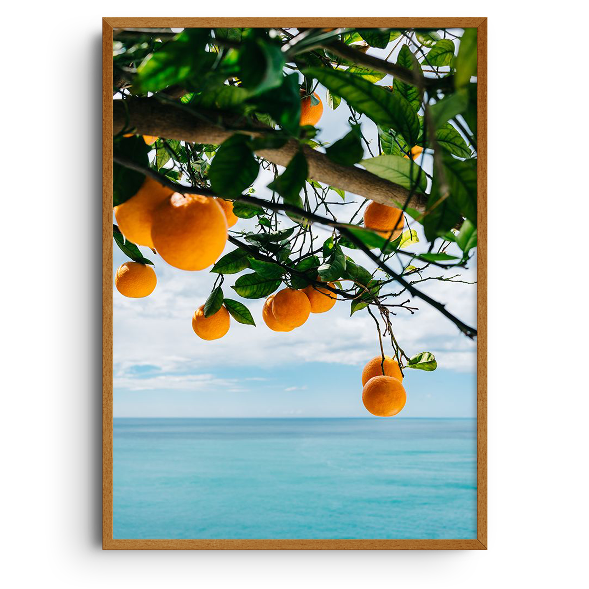 Oranges Over Blue Ocean | Bethany Young