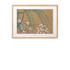 Blossoms | Kamisaka Sekka