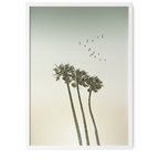 Soaring Palms | Melanie Viola