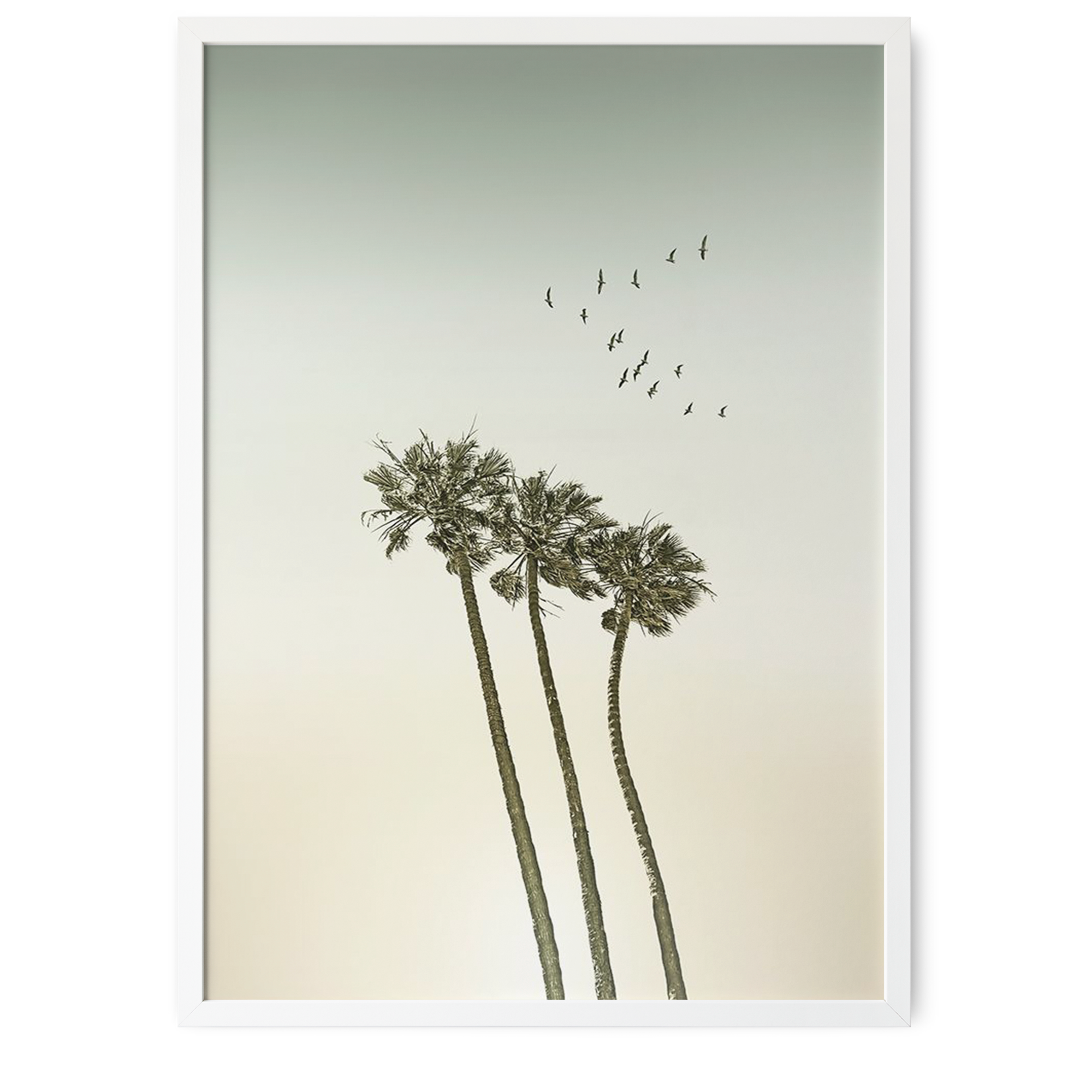 Soaring Palms | Melanie Viola