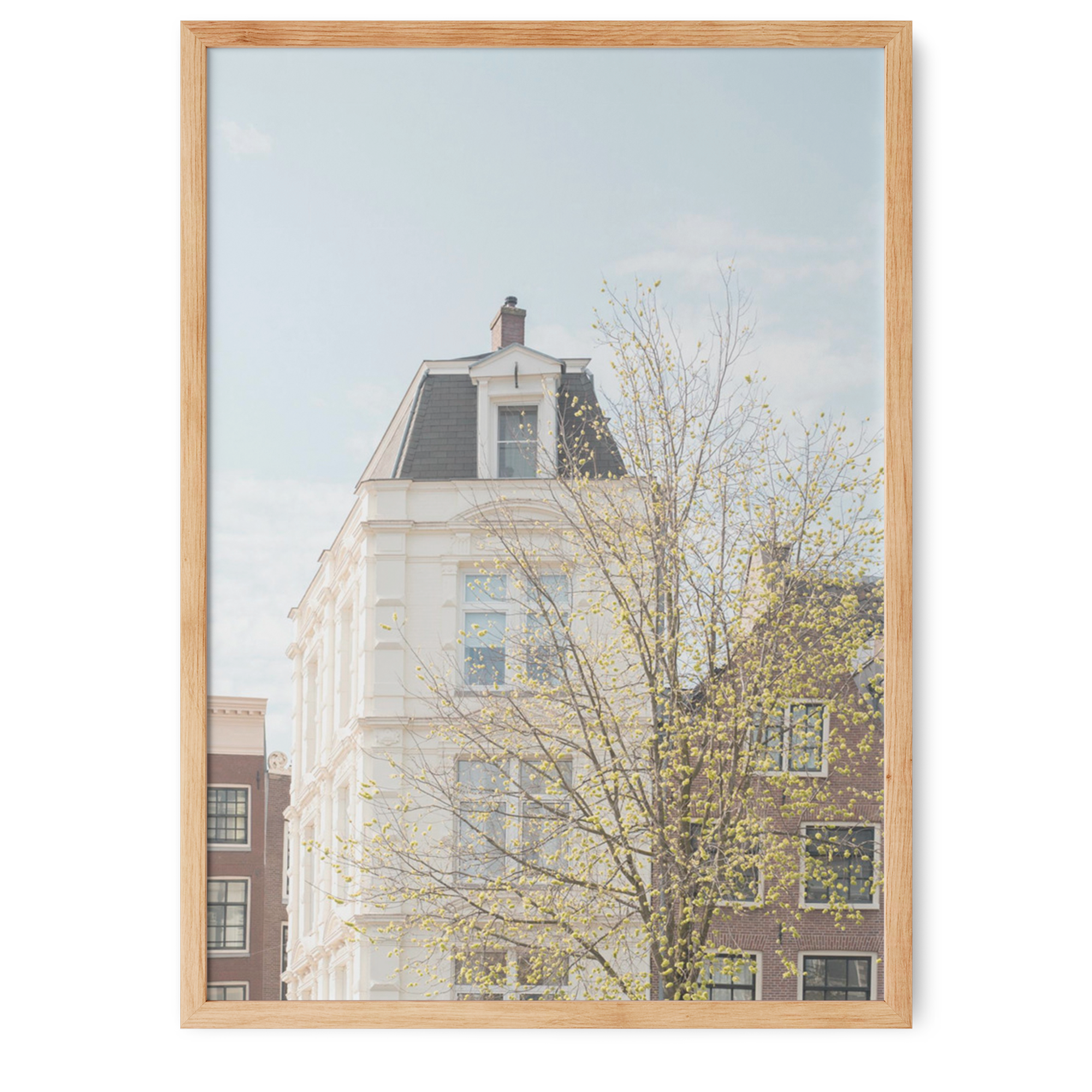 Spring In Amsterdam | Henrike Schenk