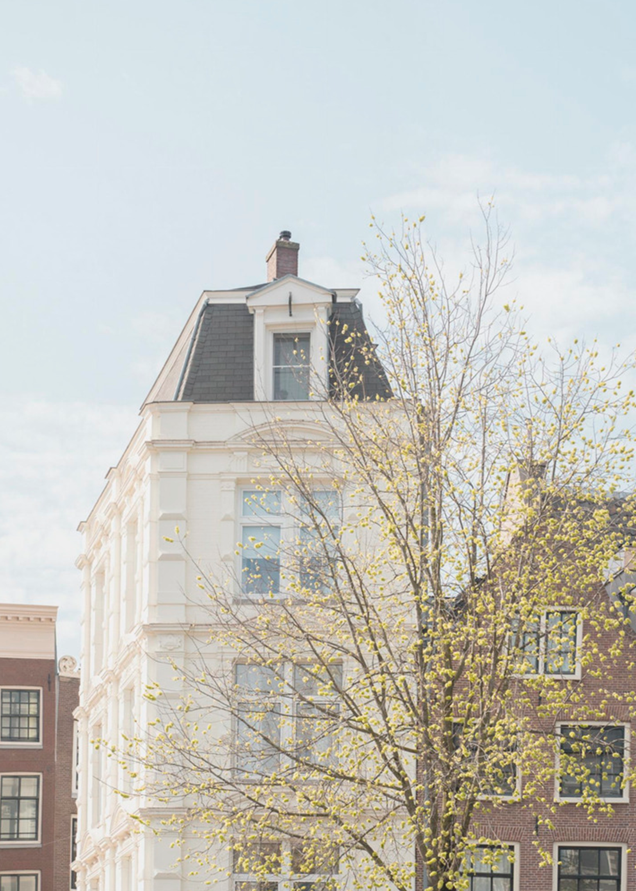 Spring In Amsterdam | Henrike Schenk