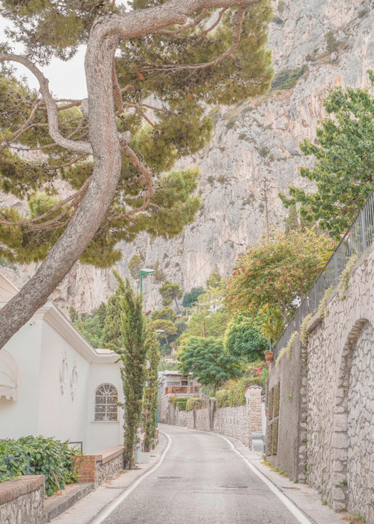 Streets of Capri | Henrike Schenk