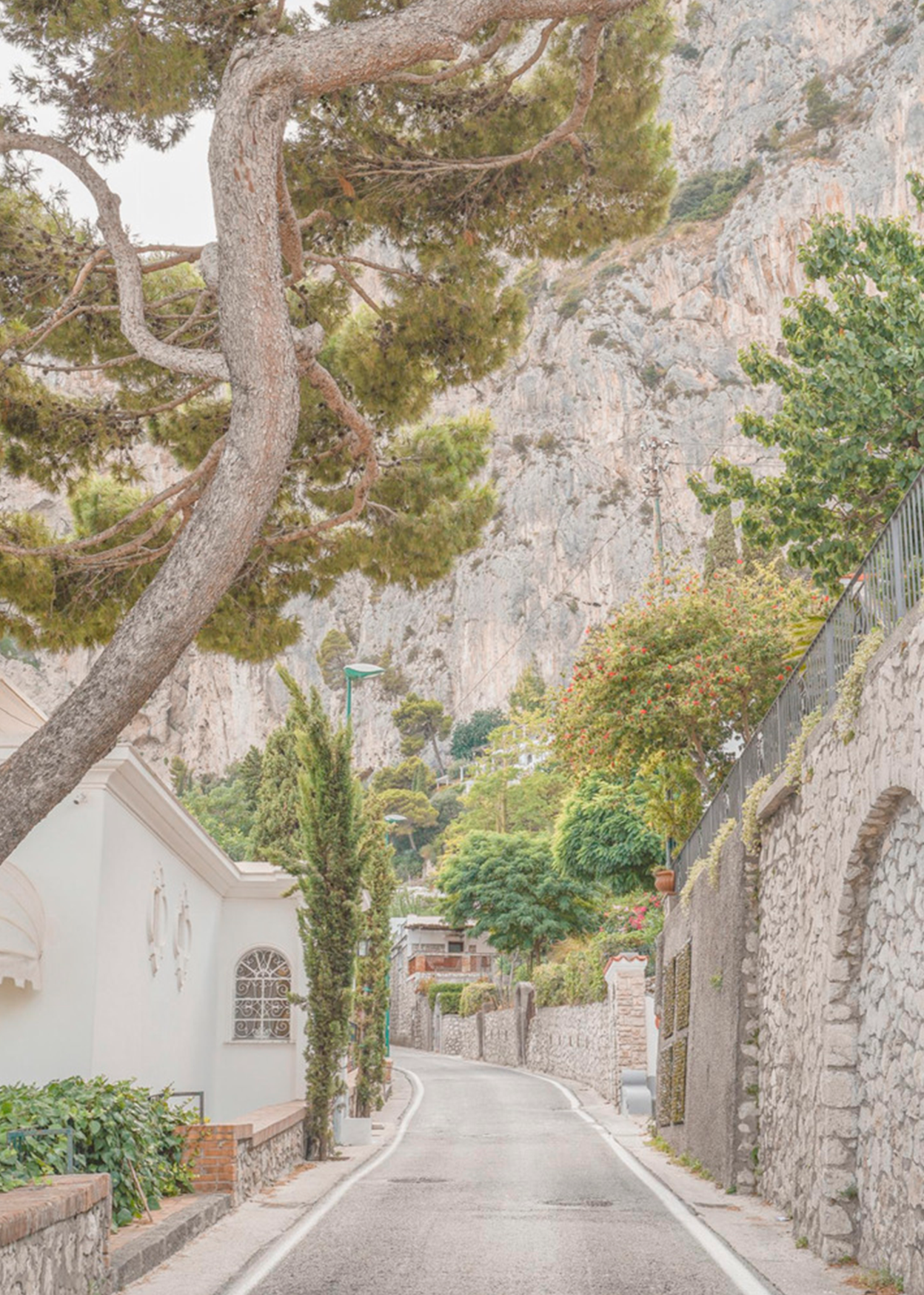 Streets of Capri | Henrike Schenk
