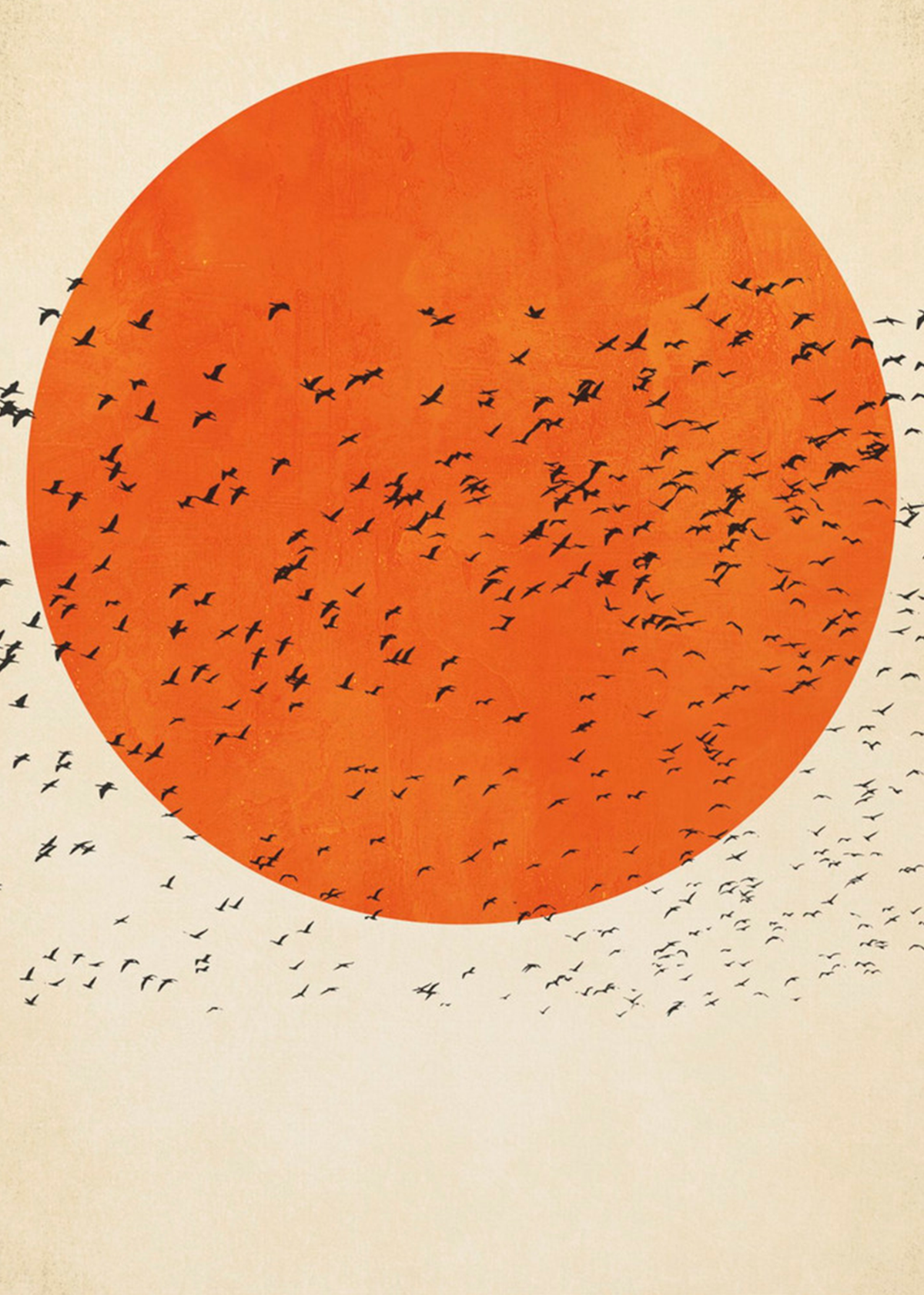 Sunset Flock Flight | Kubistika