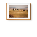Tra Montalcino e Montepulciano