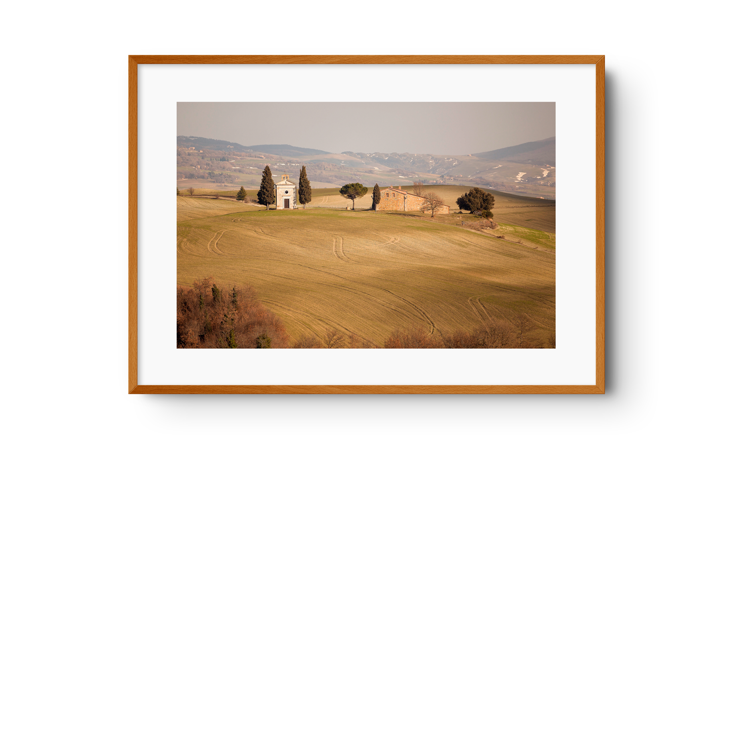 Tra Montalcino e Montepulciano
