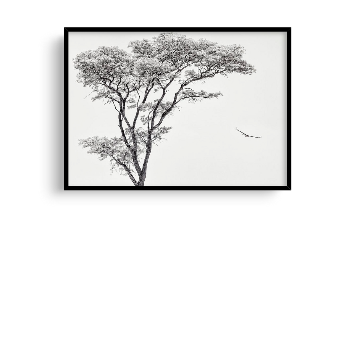 Tree and Bird Flight | Piet Flour
