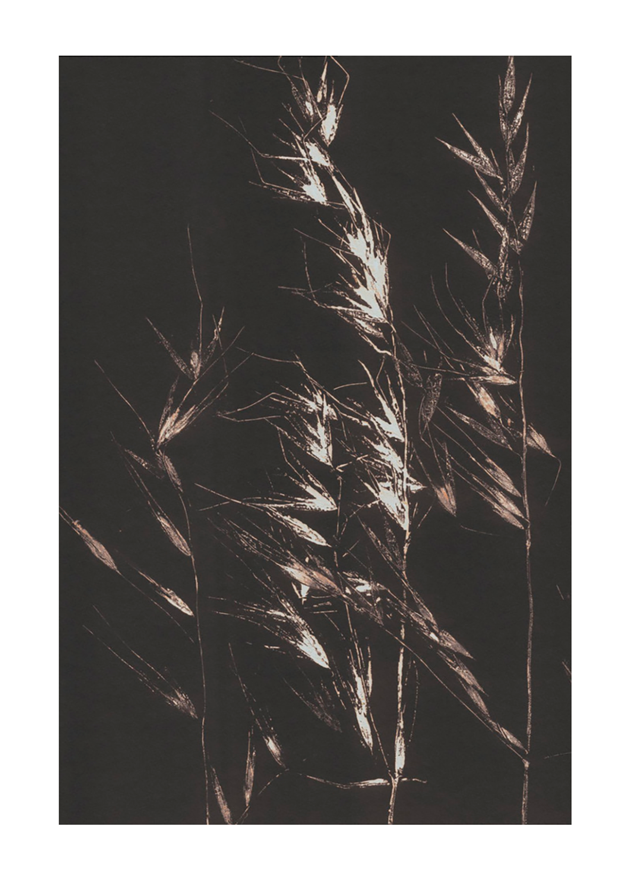 Wild Grass | Alisa Galitsyna