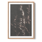 Wild Grass | Alisa Galitsyna