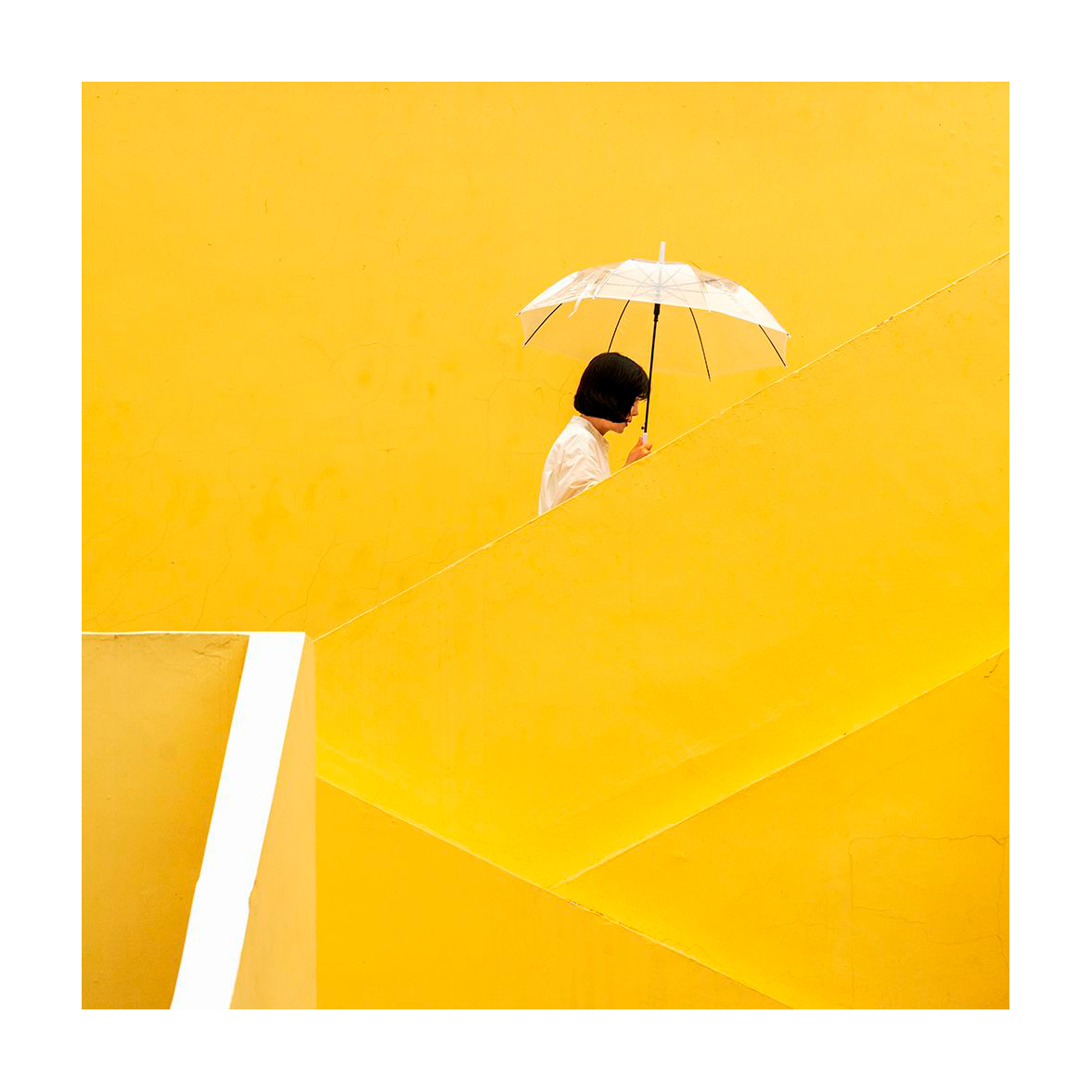 Yellow Staircase Umbrella Walk | Amy Woo