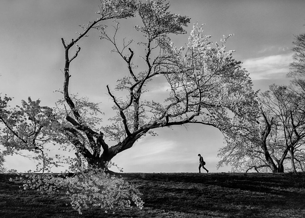 Move Forward | Haruyo Sakamoto